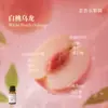 Líquido de Relleno de Aceite Esencial de Plantas de Aromaterapia de 15 ml para Difusor de Piedra de Yeso, Adornos Aromáticos, Especializado para Uso en Interiores, Fragancia de Alta Gama y Larga Duración