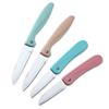 Suministro para Supermercado Cuchillo para Fruta Cuchillo Pelador Hogar Cocina Plegable Cuchillo de Cocina Acero Inoxidable Cuchillo para Melón y Fruta Portátil Pequeño Cuchillo Plegable