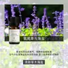 Aceite Esencial de Aromaterapia Soluble en Agua para Difusor de Aroma, Fresco para el Aire Interior, Humidificador, Máquina de Aromaterapia, Venta al por Mayor de Fábrica de Aceites Esenciales de Aromaterapia