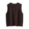 Chaleco de Cachemir para Mujer 100% Cachemir Puro Otoño e Invierno Nuevo Casual Versátil Holgado Cuello en V Suéter de Punto