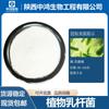 Probiótico Lactobacillus Plantarum Materias Primas Materia Prima Grado Múltiples Especificaciones Suministro Listo