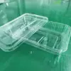 Caja de Empaque en Ampolla para Cerebro de Cerdo Mascota, Caja de Empaque en Ampolla para Mataderos y Fábricas de Alimentos, Caja para Alimentos Frescos, Caja para Frutas, Grado Alimentario