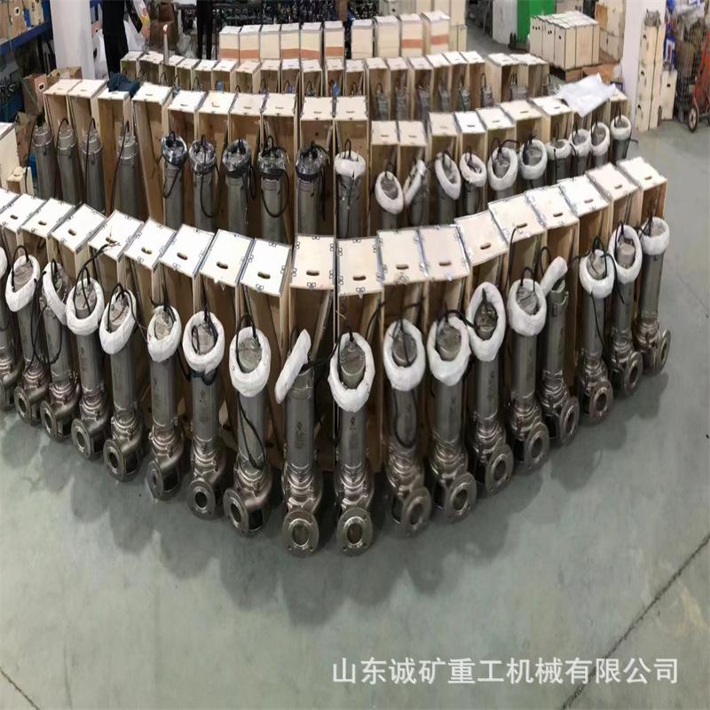 不锈钢潜水排污泵 2205 2507双相钢潜污泵 50WQ1