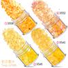 Transfronteiriço nail art set 24 cores unha polonês cola mixed nail art lantejoulas cebola dourada em pó nail art jóias broca adesivos de unhas