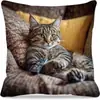 Funda de almohada de gato más vendida de TEMU transfronteriza para jugar con el teléfono móvil, funda de cojín decorativa para sofá del hogar ultra suave impresa digitalmente