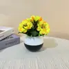Novos 5 Vasos de Flores Plásticos de Centáurea Mini Flores Artificiais Decoração de Mesa Ornamentos Estilo Ins Vaso Transfronteiriço