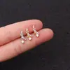 Joia para Piercing de Aço Inoxidável Haste Fina 0.8*6mm Brincos de Zircônia Unhas de Osso da Orelha Florais para Mulheres Brincos Quentes de Venda Transfronteiriça