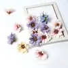 Cabeças de Flores Margaridas Simuladas, Flores Artificiais de Tecido de Seda, Acessórios de Flores Artificiais DIY, Decoração de Cena de Casamento, Arranjo de Flores de Fundo