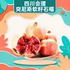 Romãs tunisianas de semente macia de Huili, Sichuan, disponíveis para entrega 5/7/ 4,5kg frutas de tamanho médio-grande em caixas de presente coloridas, caixa inteira de frutas frescas