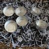 Mecha de Cera para Velas de Té Wholesale, Cáscaras de Aluminio para Velas de Té, Lámpara de Mantequilla 2.6cm 4-8 Horas, Mechas para Velas en Caja de Aluminio, Empaque a Granel