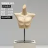 Accesorios de Maniquí para Ropa Interior de Mujer y Hombre, Maniquíes de Plástico Blanco Mate de Medio Cuerpo para Exhibición en Vitrina y Estantes de Exhibición al por Mayor