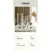Ave del Paraíso Planta Hidropónica Sala de Estar Casa Próspera Planta Verde Interior Strelitzia Reginae Todo el Año Absorción de Formaldehído Oficina Escritorio Planta en Maceta