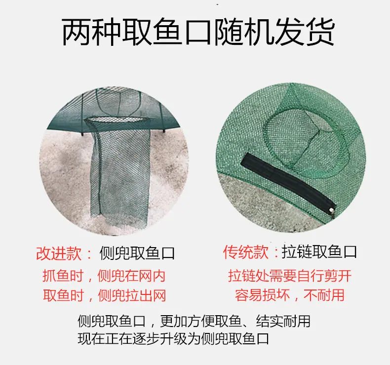 进鱼口.jpg