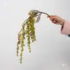 Colgante de planta Fruto de aliso Pegamento suave Fruto de frijol del amor Colgante de pared Decoración de paisajismo Accesorios para arreglos florales Seda suave