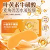Parche para Ojos Helado de Arándano y Luteína Extracto Vegetal Parche para Ojos Herbal Mascarilla para Ojos de Hidrogel Compresa Fría Entrega Directa de Fábrica