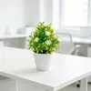 Venda Quente Transfronteiriça 10 Peças Pote de Planta Artificial Violeta para Bolo Planta Artificial Criativa Decoração de Mesa para Casa Plástico Pequeno Bonsai