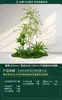 Plantas Verdes Simuladas, Paisajismo Interior a Gran Escala, Combinaciones de Paisajismo Exterior, Decoraciones de Exhibición para Ventanas de Lujo Ligero de Alta Gama, Plantas Artificiales en Maceta de Pie