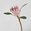 Simulação Tamanho Pequeno Primavera Princesa Imperial África do Sul Flor Imperial Estilo Europeu Modelo de Flor Artificial Sala de Modelos Estilo Americano Casa