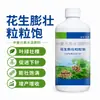 Amendoim inchado e grão forte controle de plenitude plântula plenitude de grão plenitude de grão tesouro de grão fertilizante especial para amendoim pengda aumento de rendimento fertilizante foliar