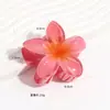 Presilha de Cabelo Flor Plumeria Popular Transfronteiriça, Acessório de Cabelo de Verão Colorido e Estiloso, Enfeite de Cabelo Versátil Tipo Pinça Tubarão Venda por Atacado