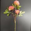 3 Bolas de cebola de funcho dente de leão Nordic modelo de casa arranjo de flores acessórios para fotografia de casamento flores falsas atacado