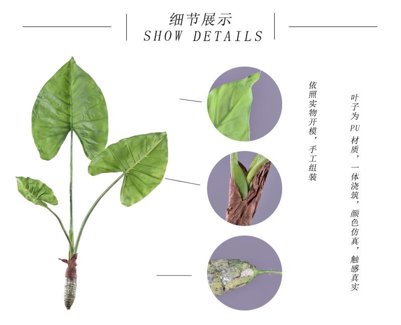 细节展示.jpg