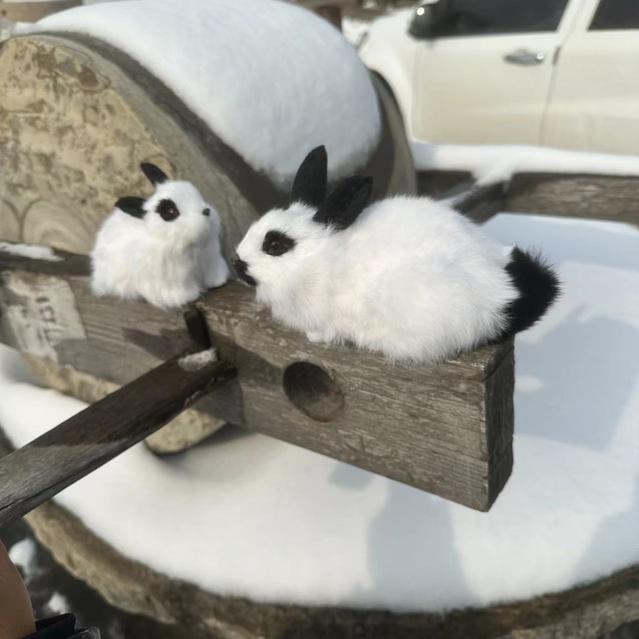 微信图片_202312121359151