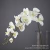 Enfeites de Orquídea Phalaenopsis, Plantas em Vasos, Flores Artificiais de Seda Plástica, Flores Artificiais, Flores Decorativas, Decoração Suave, Arranjos Florais, Flores Artificiais de Alta Qualidade para Decoração de Casa