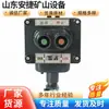 Botón de Control Eléctrico Subterráneo Antiexplosión para Mina, Botón Interruptor Componente de Control Momentáneo de Enlace Único para Mina de Carbón