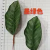 Venta al por mayor de fábrica cinta para plantas verdes de hoja de magnolia de resorte simulado accesorios enchufe de hierro rama única hoja de magnolia grande mediana y pequeña