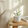 Adornos de Vidrio Zibo Flor de la Mañana Maceta Artificial Planta Vidrio Ramo Pequeño Flor Eterna Decoración de Mesa de Entrada Regalo