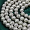 Muchísimas Perlas Grises Claras Tipo Perla con Perlas de Imitación de Concha de Colores, Perlas de Vidrio de Cristal, Perlas Sueltas, Accesorios Semi-Terminados para DIY