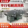 Máquina Limpiadora Comercial de Cepillos Paralelos para Ostras, Vieiras, Patatas y Equipo de Limpieza con Rodillos Continuos