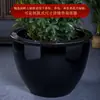 Fabricante de tanques grandes de cerámica negra Jingdezhen, pecera grande de cerámica vidriada de colores, cuenco de loto, tanque de agua para patio, tanque de porcelana