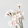 Materiales para Empaque de Ramo, Materiales para Florería, Accesorios Florales, Decoración para el Hogar, Flores Secas, Flores Artificiales, Pasto de Pluma Simulado, Flores Inmortales