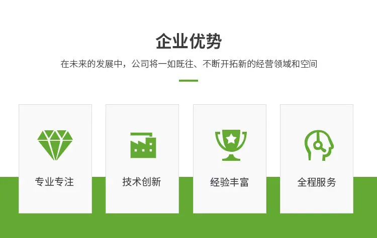 企业优势