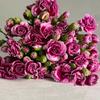 Flores de Clavel Multicabezal al por Mayor Yunnan Cabello Recto Clavel Multicabezal Flores Frescas Cortadas Flores para Recepción de Hotel Mesa de Restaurante