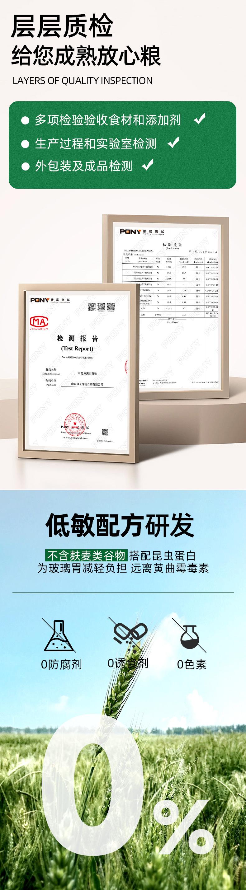 昆虫蛋白现货详情_04.jpg