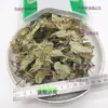Hierba medicinal china Menta con tallos y hojas, Menta silvestre, Fragancia nocturna, Tallos de menta verde silvestre, Menta piperita