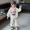 Ropa Infantil de Comercio Exterior Estilo Primavera y Otoño para Niños Conjunto de Dos Piezas Sudadera con Capucha a Cuadros Nuevo Otoño 2026 para Niños Pequeños y Niños Pequeños Moderno