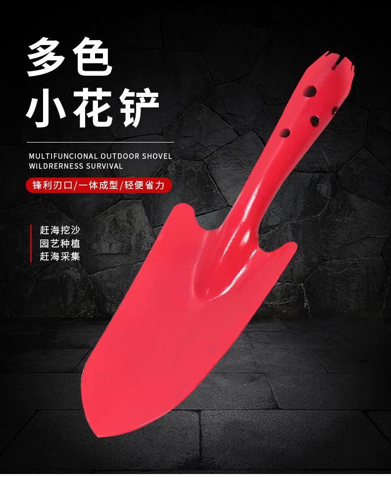 详情_01.jpg
