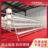 Jaulas apiladas para codornices, jaulas tipo H para pollos de engorde, jaulas para gallinas ponedoras, jaulas de cría, jaulas tipo A automáticas con escalera para pollos de engorde, jaulas para cría de palomas