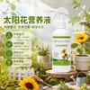 Solução Nutritiva para Girassol Pronta para Uso Tipo Spray Direto Controla o Crescimento Vigoroso Previne Estiolamento e Tombamento Amigo de Iniciantes Varanda