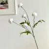 Color de otoño 5 cabezas de pompón diente de león flor artificial ramo de flores secas exhibición de flores falsas decoración mesa de comedor arreglo floral cross-border dropshipping