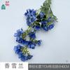 26 Anos de Materiais Florais Azul Escuro de Alta Qualidade, Materiais de Flores de Seda para Vitrines, Paisagismo, Adereços para Estúdio de Fotografia, Flores Artificiais