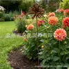 Popular Cruzada Dahlia Enferrujada Decorativa Chão Jardim Pátio Criativo Ferro Artesanato