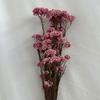 Flores de Mijo Eternas, Flores de Arroz Australianas, Cabezas de Flores Especiales para Copa de Vidrio, Materiales Florales Hechos a Mano para DIY, Flores Secas de Yunnan, Venta al por Mayor