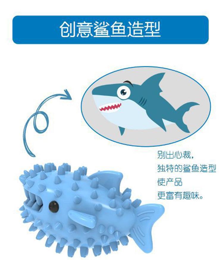 鲨鱼_07.jpg