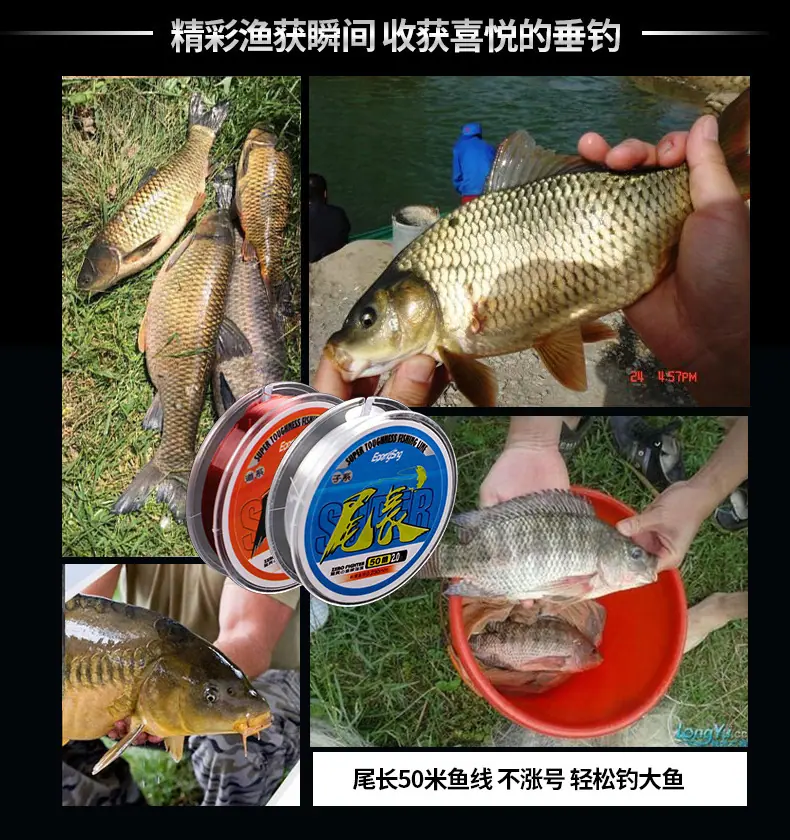尾长50米 (18).jpg