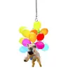 Gato y Perro de Globo Coloridos Decoración Animal Colgante para Espejo Retrovisor de Coche Colgante Plano Llavero de Mochila Accesorios Colgante